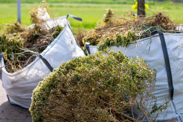 Best Local Junk Hauling  in Carnegie, PA